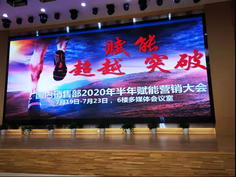 南方略助力利歐2020年半年賦能營(yíng)銷工作大會(huì)1