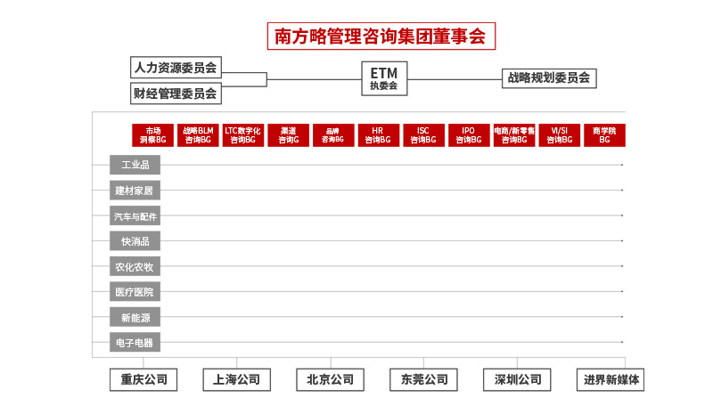 南方略咨詢集團(tuán)組織架構(gòu)